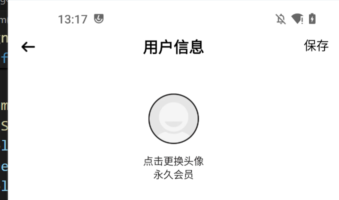 image-20250510131932044